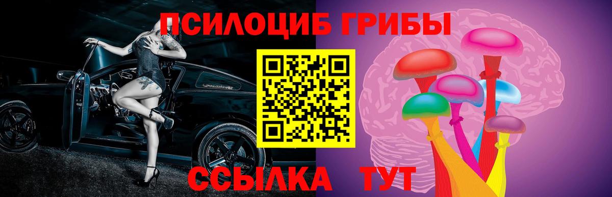 Киреевск  Галлюциногенные грибы Psilocybe  Вход с VPN 